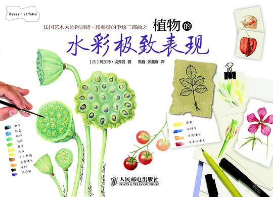 植物的水彩极致表现