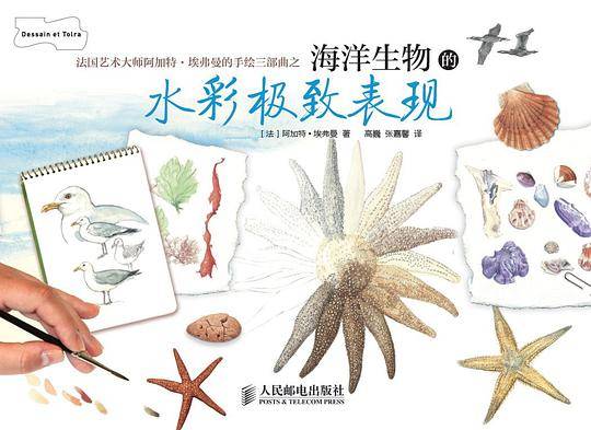 海洋生物的水彩极致表现