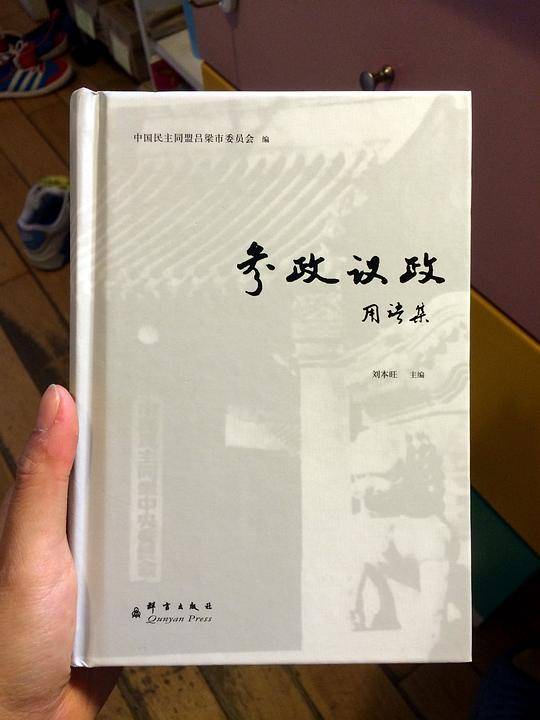 参政议政用语集