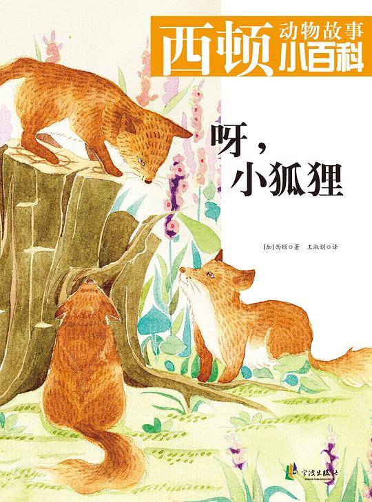 呀，小狐狸