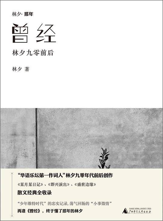 曾经——林夕九零前后