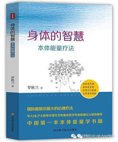 身体的智慧—本体能量疗法