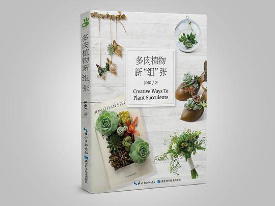 多肉植物新“组”张