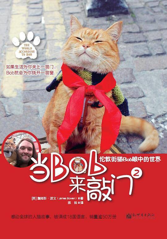 当BOB来敲门：伦敦街猫Bob眼中的世界