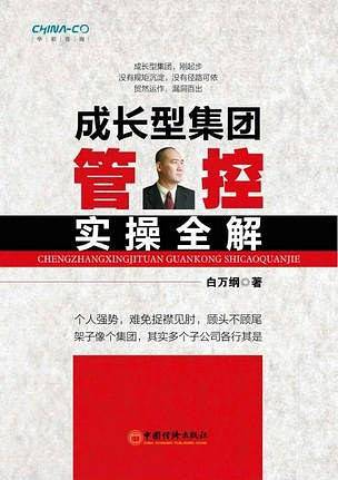 成长型集团管控实操全解