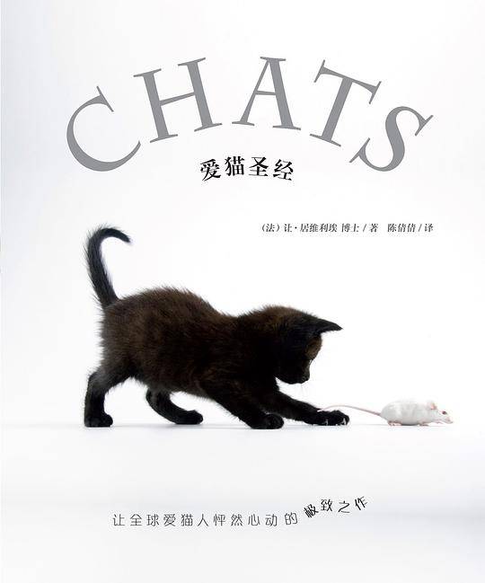 爱猫圣经