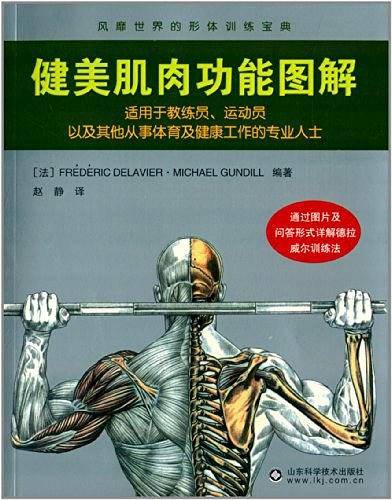 健美肌肉功能图解