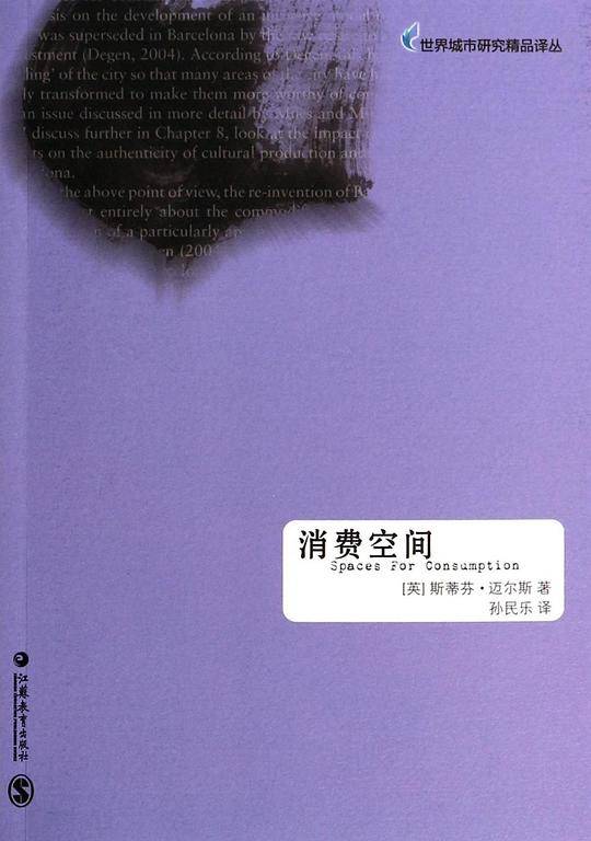 消费空间：Spaces for consumption 世界城市研究精品译丛