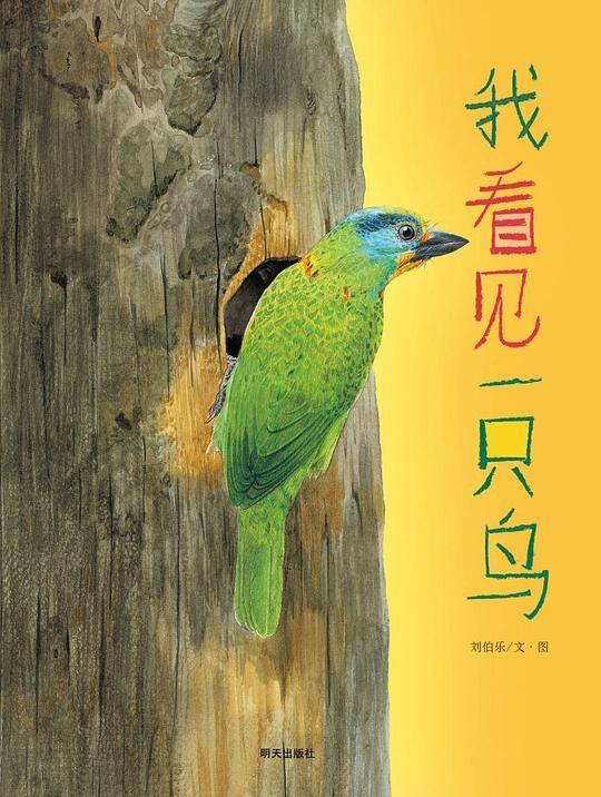 我看见一只鸟