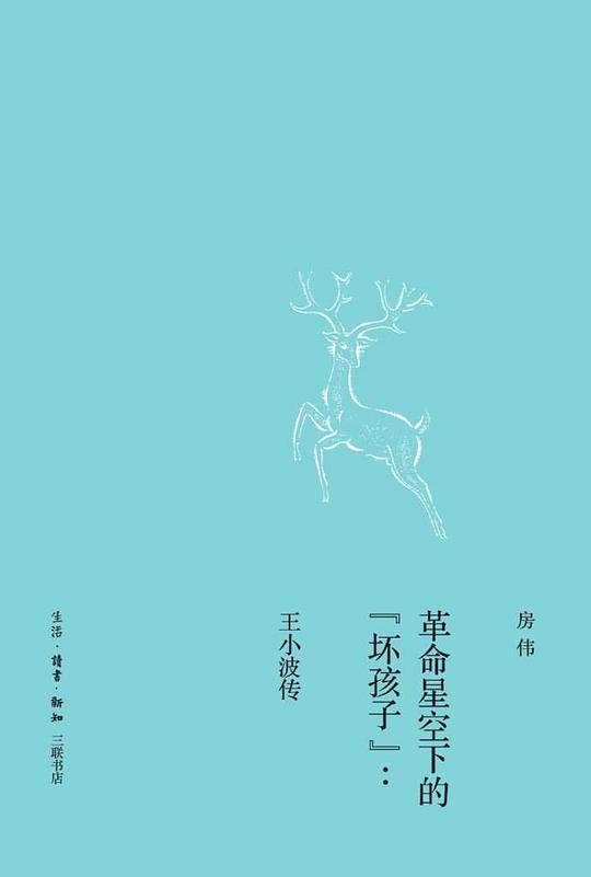 革命星空下的“坏孩子”--王小波传