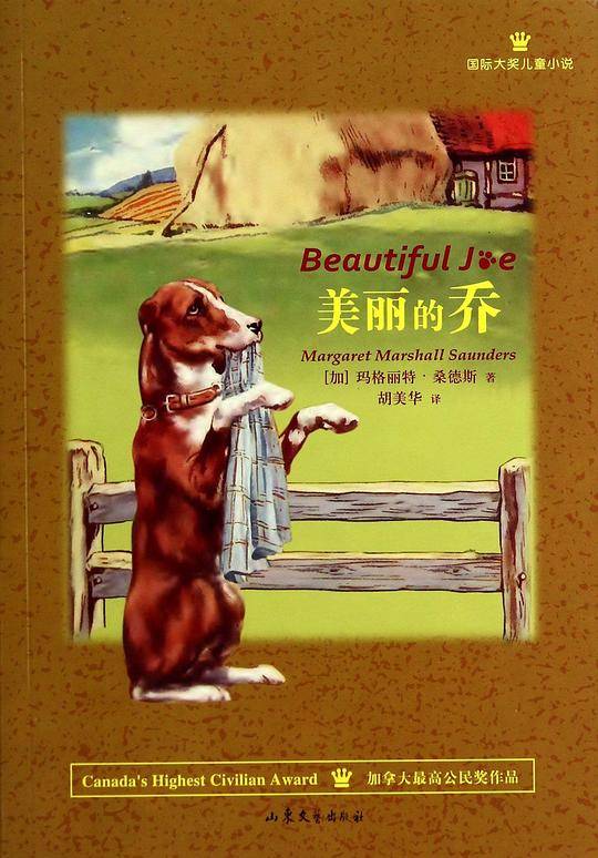 美丽的乔