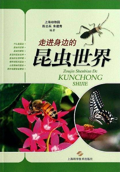 走进身边的昆虫世界