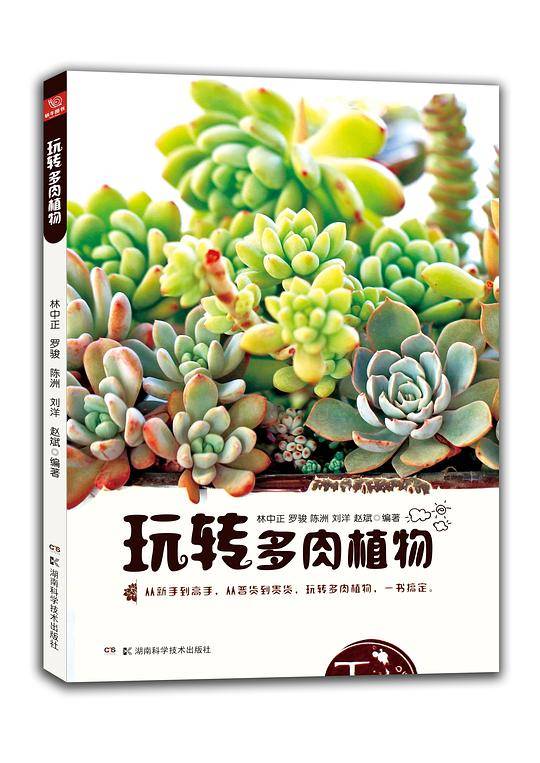 玩转多肉植物