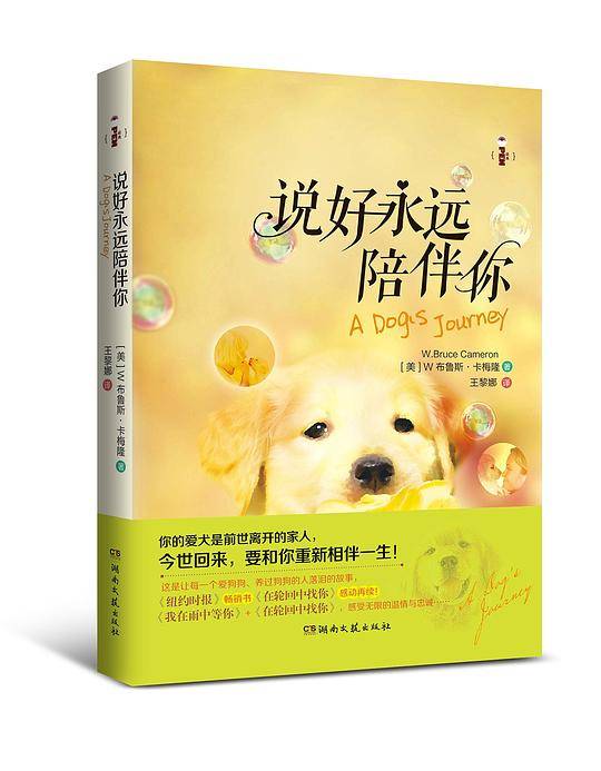 说好永远陪伴你