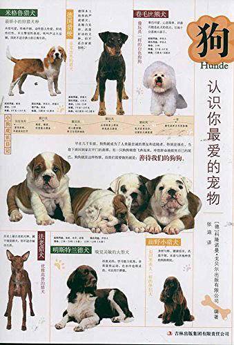 狗