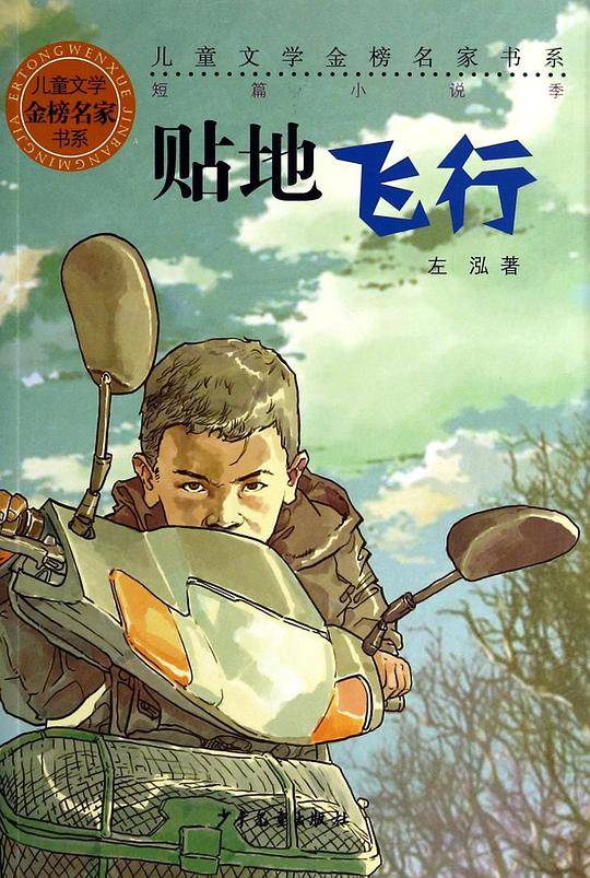 儿童文学金榜名家书系：贴地飞行