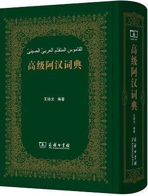 高级阿汉词典