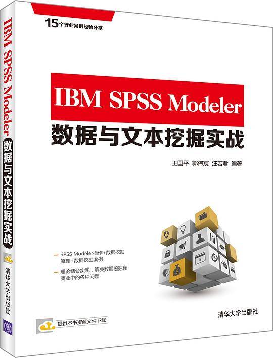 IBM SPSS Modeler数据与文本挖掘实战