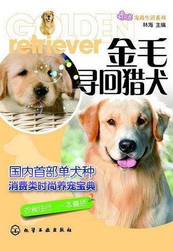 季羡林代表作系列:金毛寻回猎犬