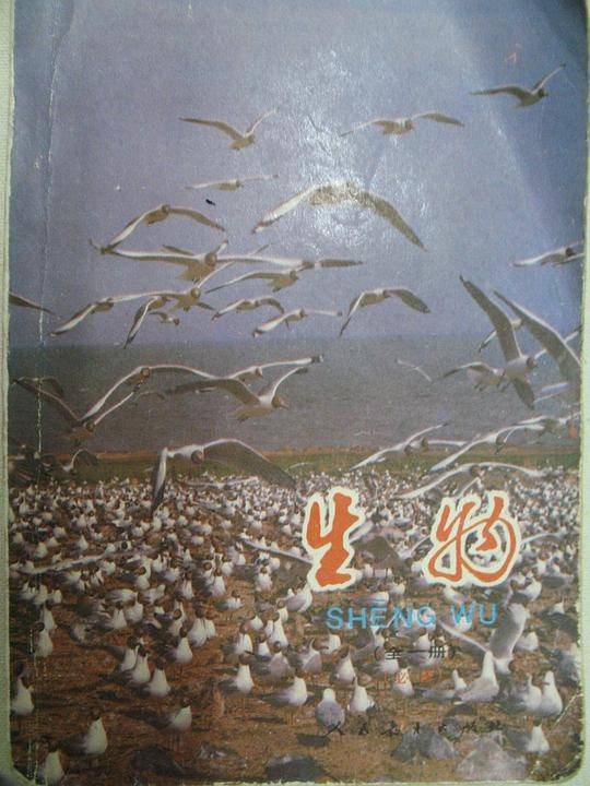 生物