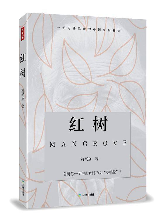 红树