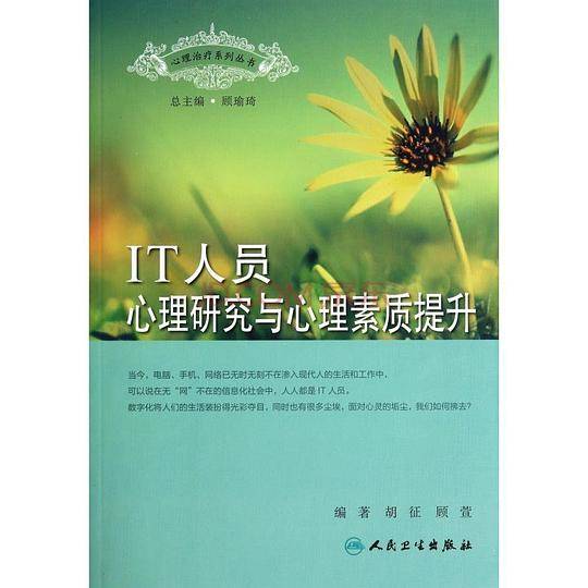 IT人员心理研究与心理素质提升