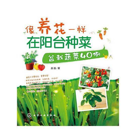 像养花一样在阳台种菜：盆栽蔬菜40例