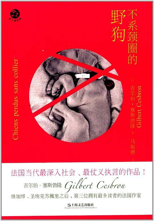 不系颈圈的野狗