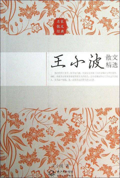 王小波散文精选――名家散文经典