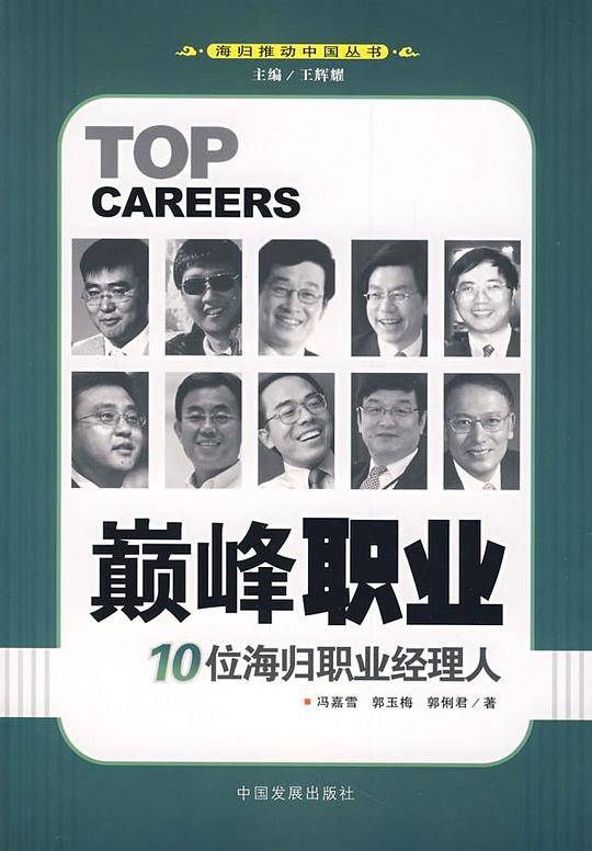 巅峰职业