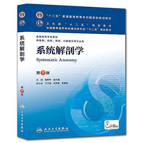 系统解剖学