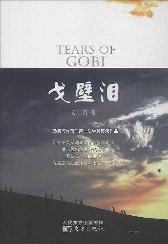 戈壁泪