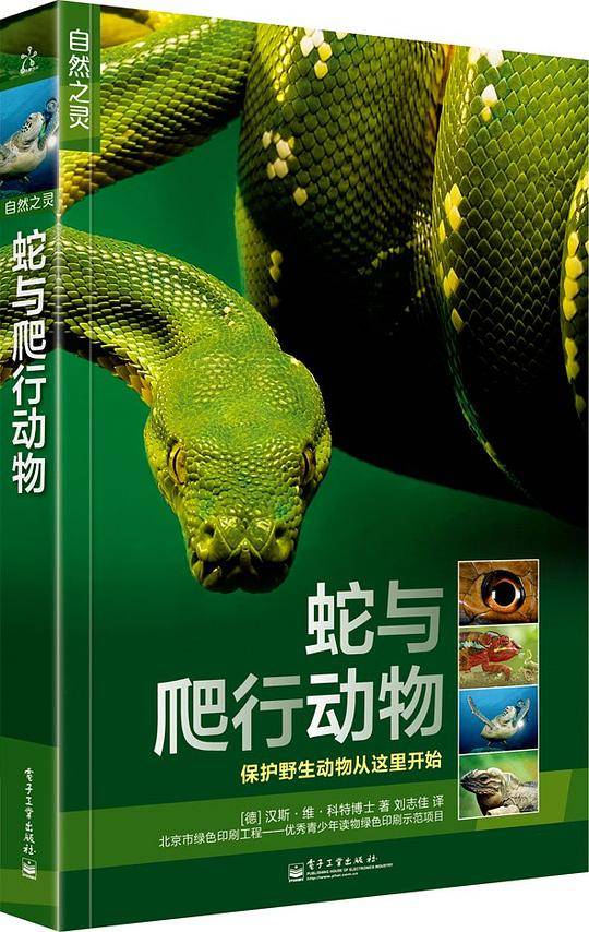 蛇与爬行动物