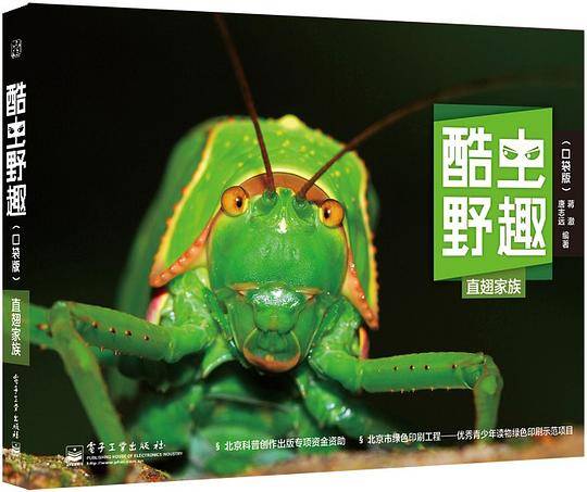 酷虫野趣 直翅家族