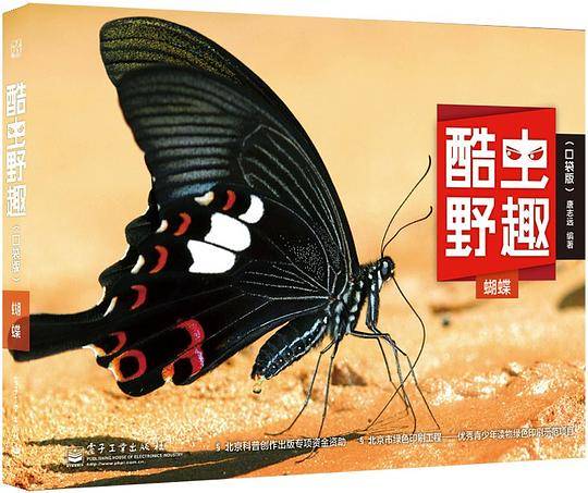 酷虫野趣（口袋版）－ 蝴蝶