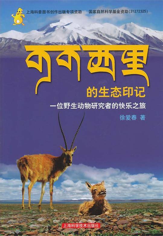 可可西里的生态印记——一位野生动物研究者的快乐之旅