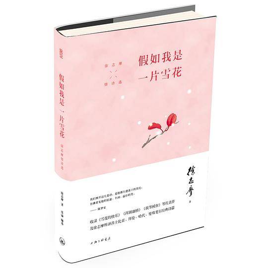 假如我是一片雪花