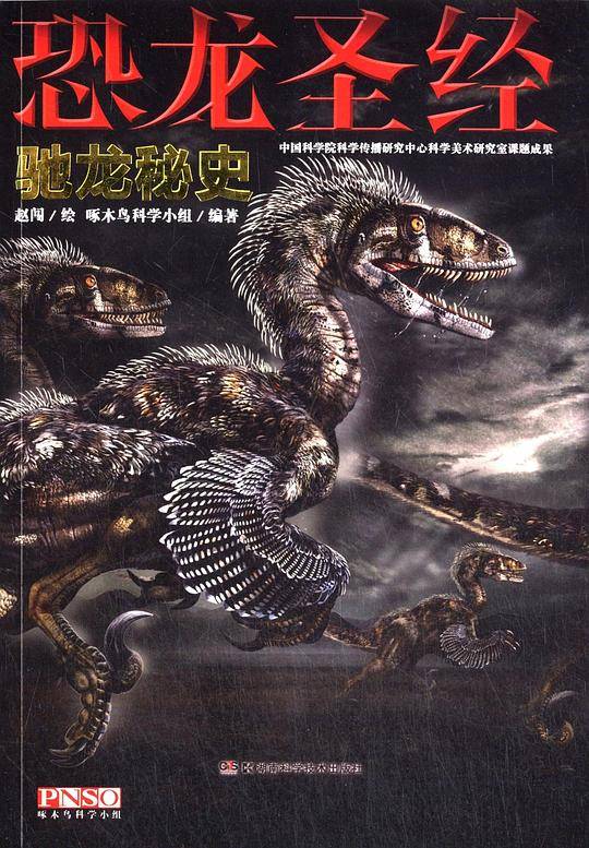 驰龙秘史