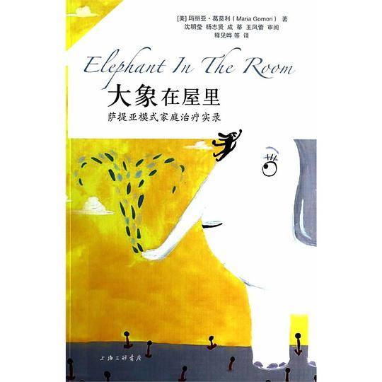 大象在屋里-萨提亚模式家庭治疗实录
