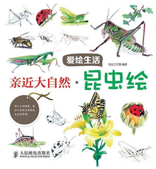 亲近大自然·昆虫绘