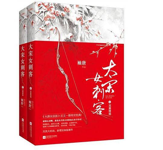 大宋女刺客·完美终结（上下）