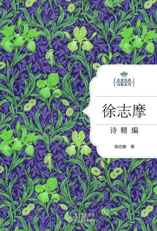 徐志摩诗精编：名家经典诗歌系列