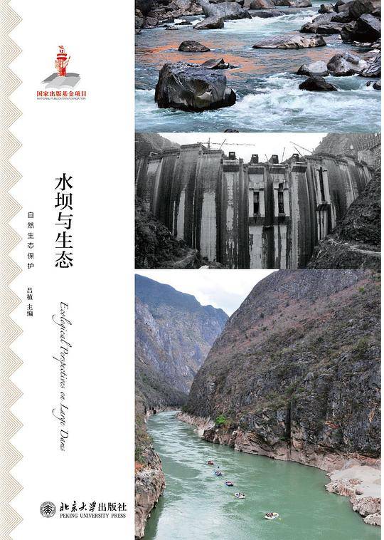 水坝与生态