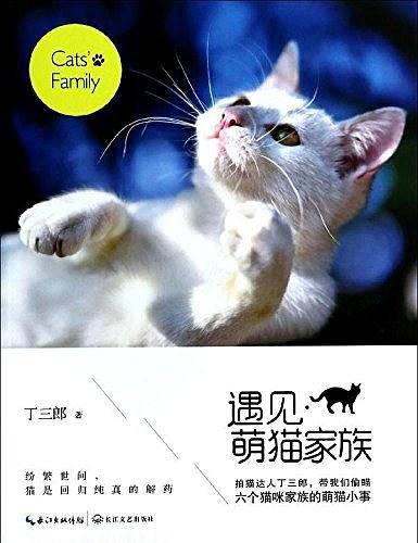 遇见 萌猫家族