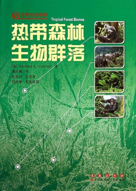热带森林生物群落