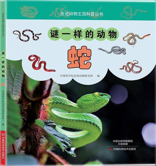 谜一样的动物——蛇