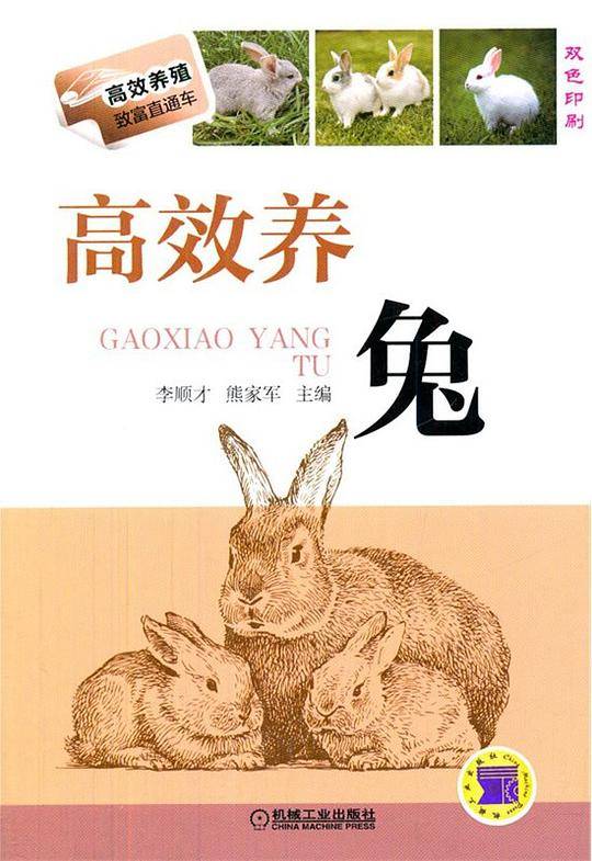 高效养兔