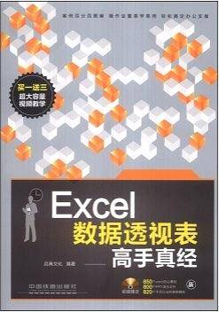 Excel数据透视表高手真经