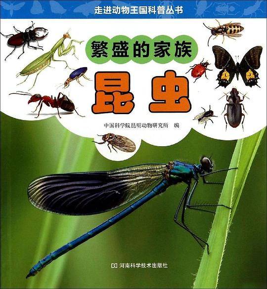 繁盛的家族:昆虫