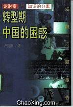 转型期中国的困惑